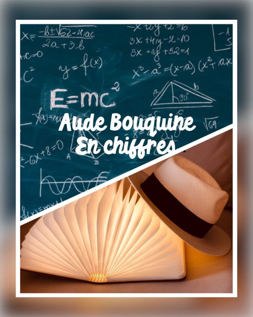 Aude Bouquine en chiffres en 2023