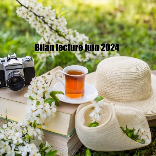 Bilan lecture juin 2024