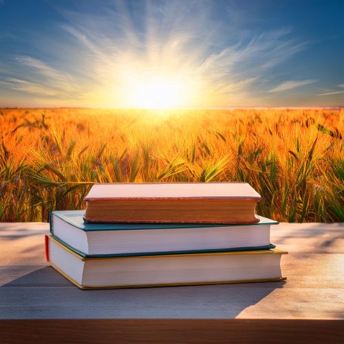 Bilan lecture juillet 2024