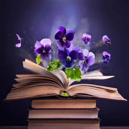 Bilan lecture septembre 2024