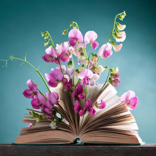 Bilan lecture août 2024