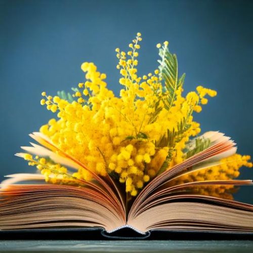 Sorties littéraires novembre 2024