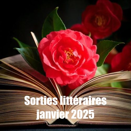 Sorties littéraires janvier 2025, sélection Aude Bouquine bilan lecture décembre 2024