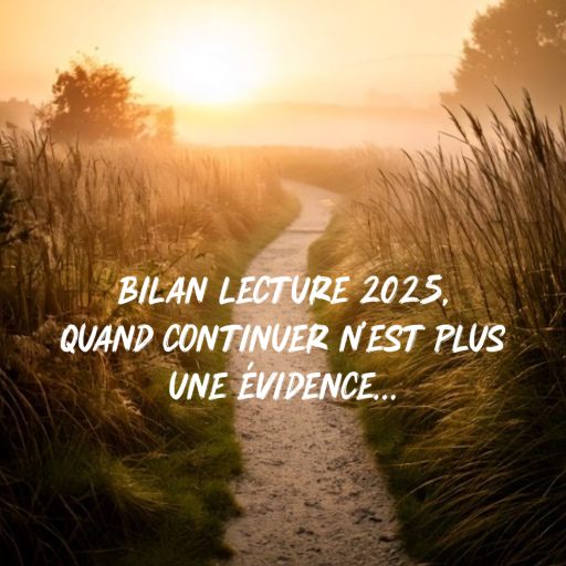 Bilan lecture 2025, quand continuer n’est plus une évidence