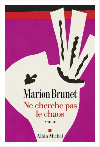 Ne cherche pas le chaos de Marion Brunet