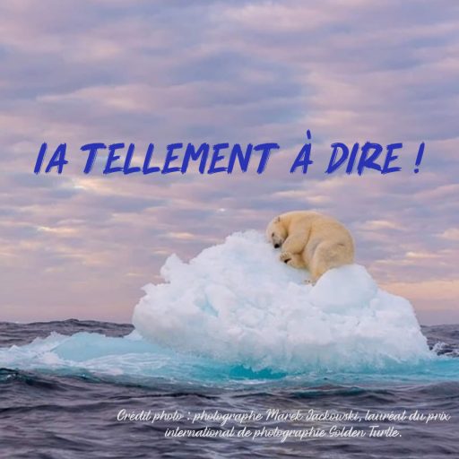IA tellement à dire ! Aude Bouquine
